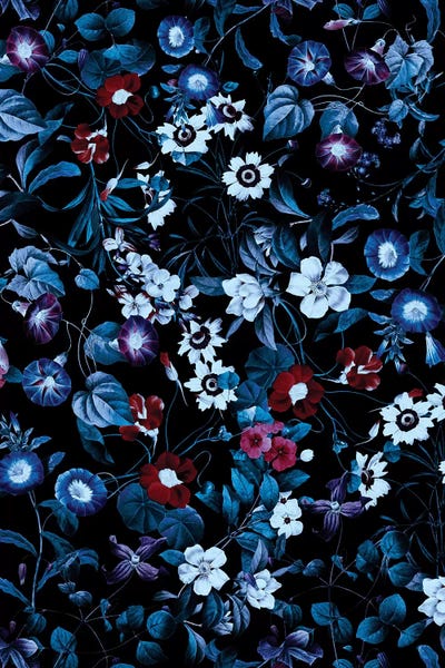 Night Garden XXXII by Burcu Korkmazyurek metal wall art