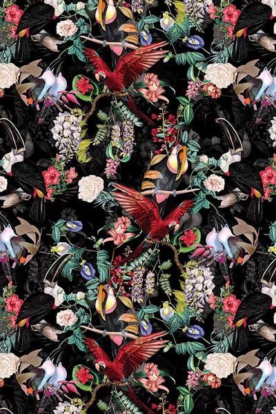 Papagan Ve Uzun Burun by Burcu Korkmazyurek canvas print