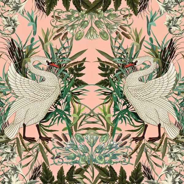 Martini Olive: Romantic Swan by Burcu Korkmazyurek