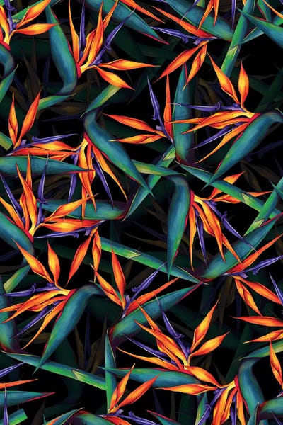 Floral & Botanical Patterns: Tropical Leaf Pattern by Burcu Korkmazyurek