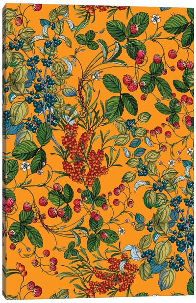 Vintage Garden VII Canvas Art Print - Burcu Korkmazyurek