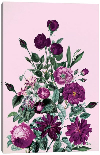 Big Flower V Canvas Art Print - Burcu Korkmazyurek