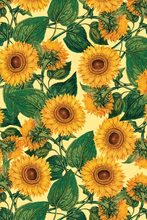 Helianthus Annuus by Burcu Korkmazyurek wall art