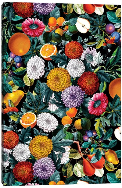 Vintage Fruit Pattern VIII Canvas Art Print - Chrysanthemum Art