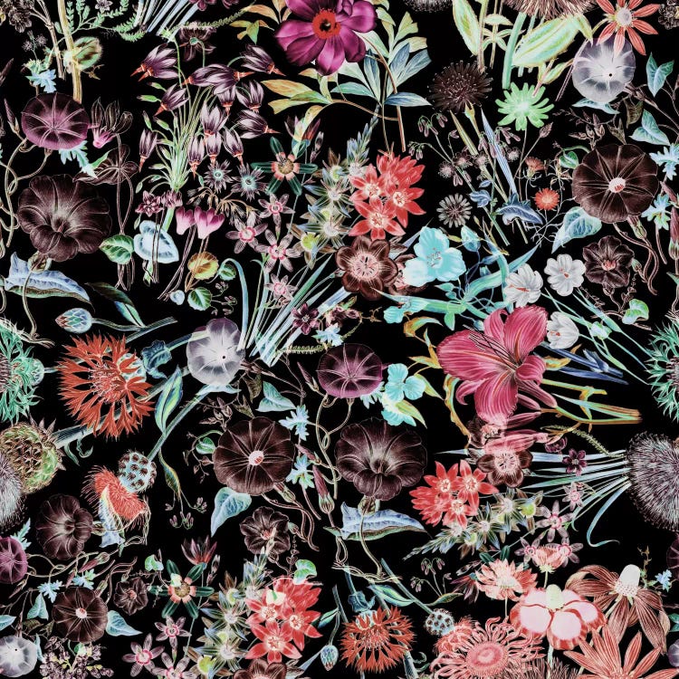 Floral Garden by Burcu Korkmazyurek wall art