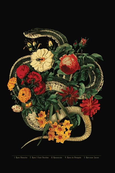 Snakes: Dangers In The Forest XII by Burcu Korkmazyurek