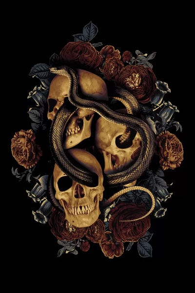 Snakes: Bella Vita by Burcu Korkmazyurek