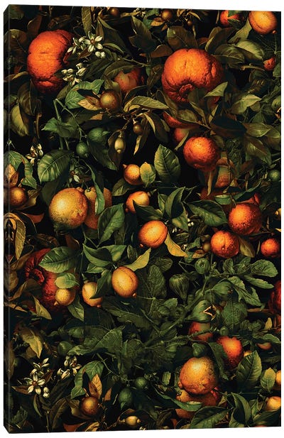 Vintage Fruit Pattern Canvas Art Print - Orange Art