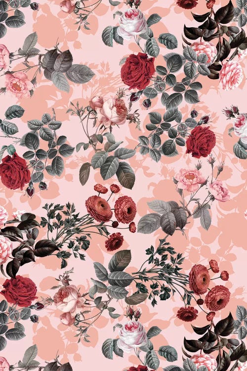 Rose Garden
