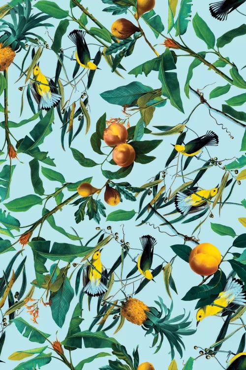 Fruit And Birds Pattern