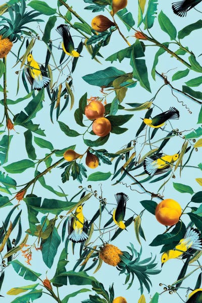Animal Patterns: Fruit And Birds Pattern by Burcu Korkmazyurek