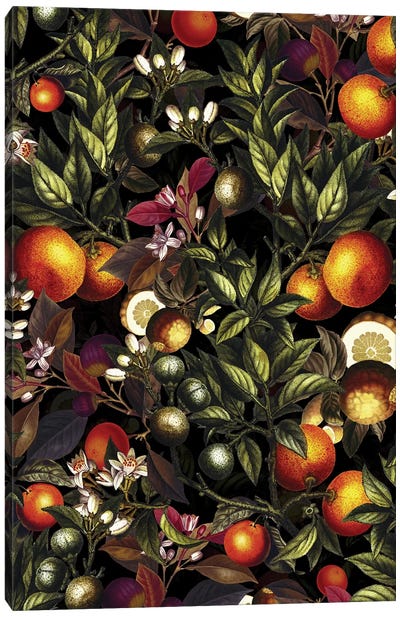 Vintage Fruit Pattern XXVII Canvas Art Print - Orange Art