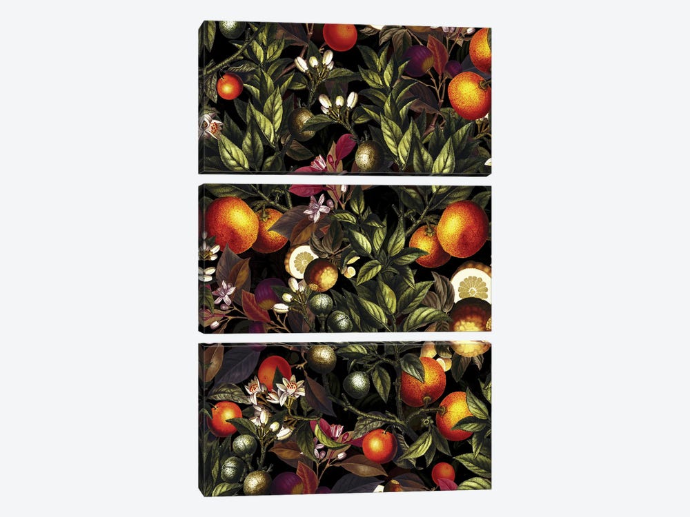 Vintage Fruit Pattern XXVII by Burcu Korkmazyurek 3-piece Canvas Artwork