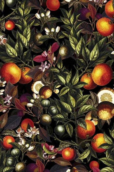 Vintage Botanical Illustrations: Vintage Fruit Pattern XXVII by Burcu Korkmazyurek