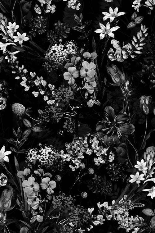 Dark Flower II by Burcu Korkmazyurek wall art