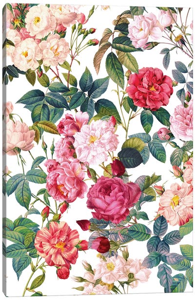 Rose Garden VII Canvas Art Print - Burcu Korkmazyurek