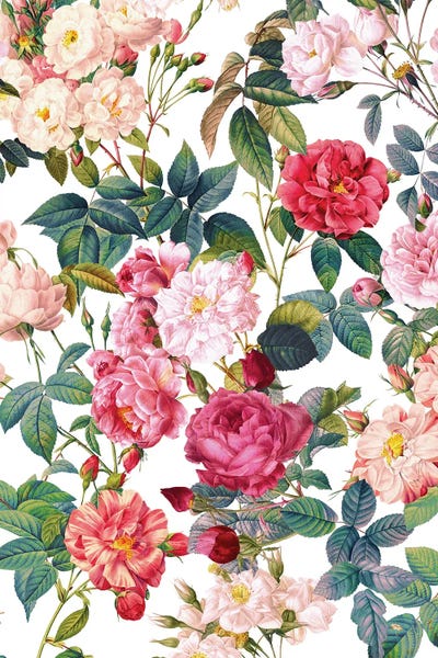 Fine Art Print: Rose Garden VII by Burcu Korkmazyurek