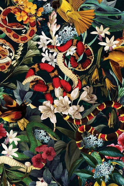 Reptiles & Amphibians: Birds And Snakes II by Burcu Korkmazyurek