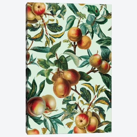 Vintage Fruit Pattern XXVI Canvas Print #BUR235} by Burcu Korkmazyurek Canvas Art