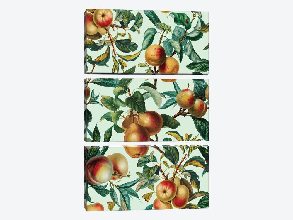 Vintage Fruit Pattern XXVI by Burcu Korkmazyurek 3-piece Canvas Art Print