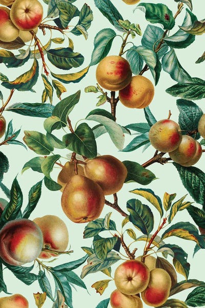 Vintage Botanical Illustrations: Vintage Fruit Pattern XXVI by Burcu Korkmazyurek