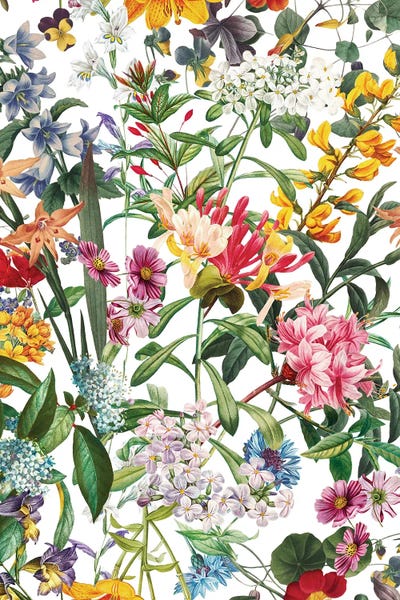 Summer Dreams IX by Burcu Korkmazyurek metal wall art