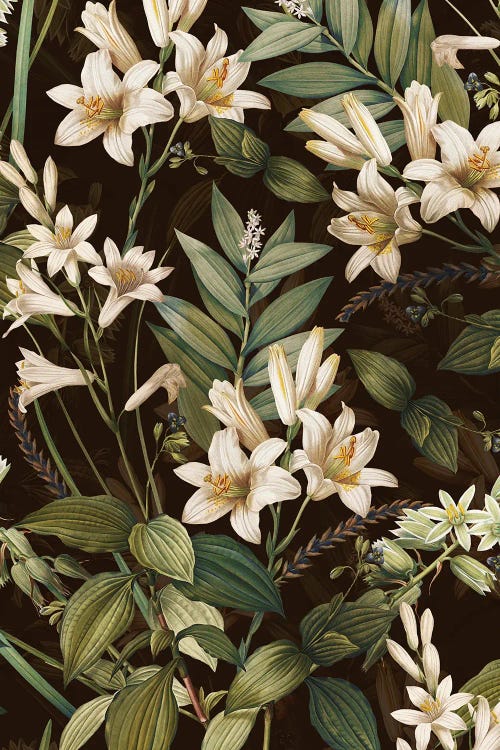 Dark Garden VII by Burcu Korkmazyurek wall art