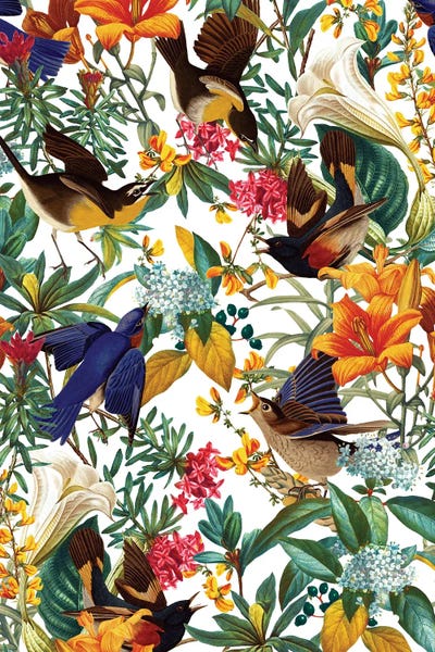 Animal Patterns: The Land Of Birds II by Burcu Korkmazyurek