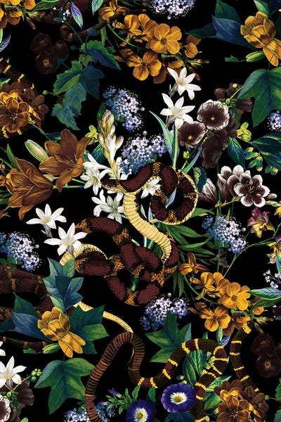 Snakes: Garden And Snakes by Burcu Korkmazyurek