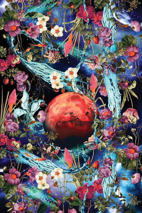 Mars by Burcu Korkmazyurek wall art