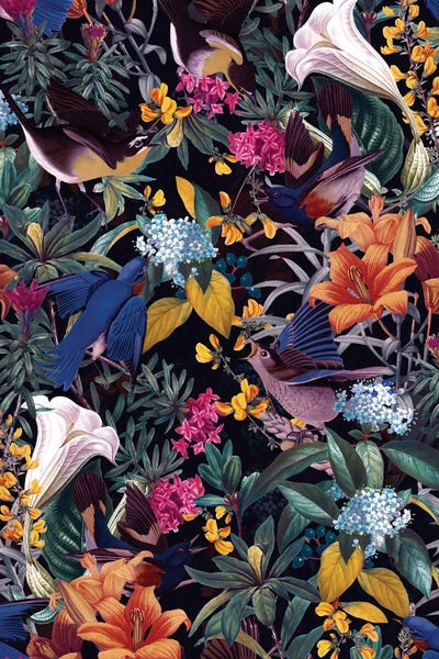 Animal Patterns: The Land Of Birds by Burcu Korkmazyurek