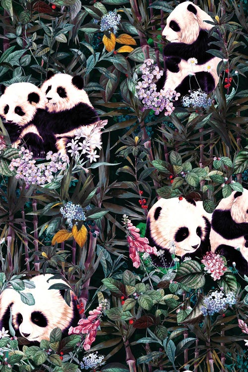 Rainforest Pandas