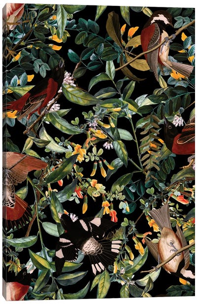 Floral And Birds XLIV Canvas Art Print - Burcu Korkmazyurek