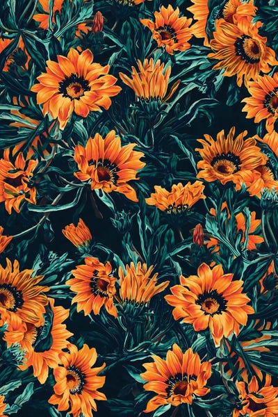 Burcu Korkmazyurek: Summer Dreams - Gazania II by Burcu Korkmazyurek