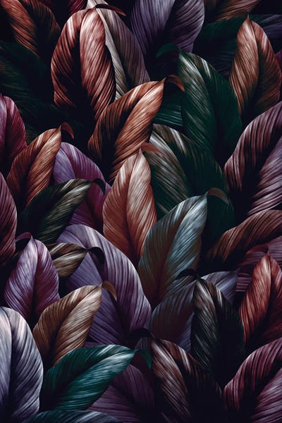 Midnight Forest V by Burcu Korkmazyurek canvas print