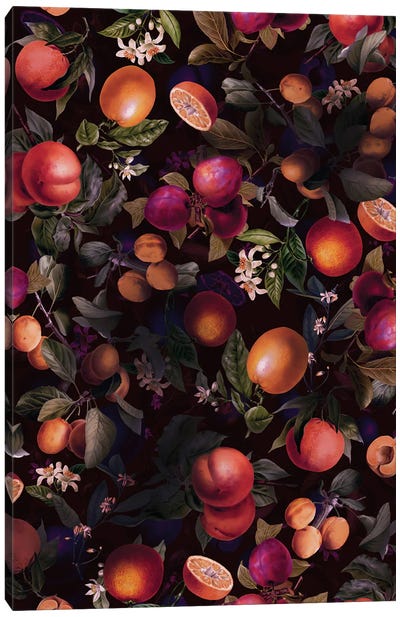Vintage Fruit Pattern XXIV Canvas Art Print - Burcu Korkmazyurek