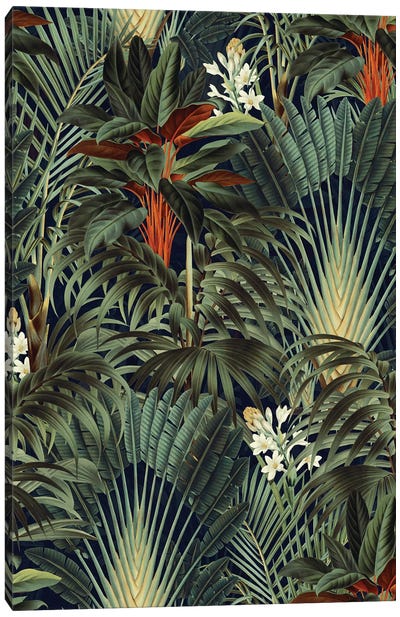 Midnight Forest Canvas Art Print - Plant Mom