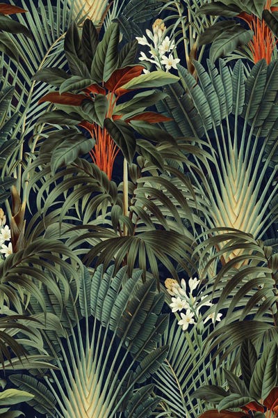 Jungles: Midnight Forest by Burcu Korkmazyurek