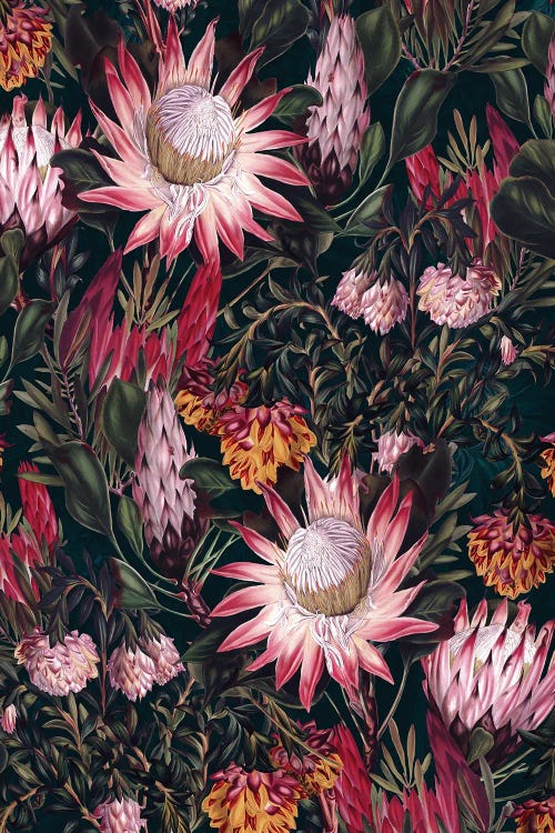 Protea Floral-Night Pattern II