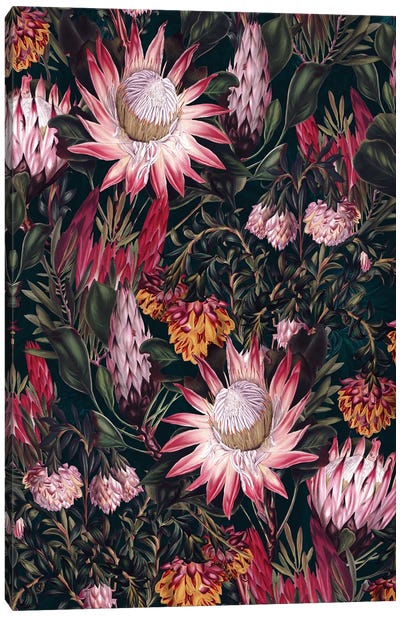 Protea Floral-Night Pattern II Canvas Art Print - Burcu Korkmazyurek