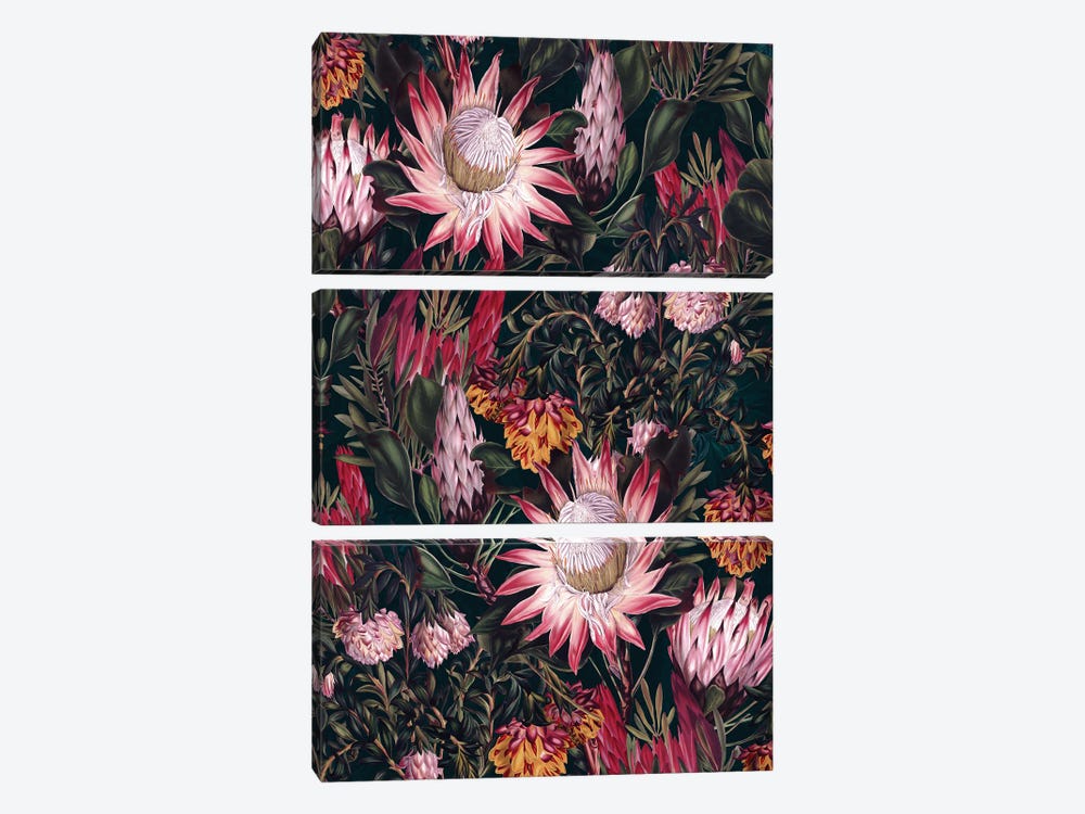 Protea Floral-Night Pattern II by Burcu Korkmazyurek 3-piece Canvas Art Print
