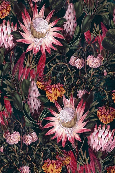 African Heritage: Protea Floral-Night Pattern II by Burcu Korkmazyurek