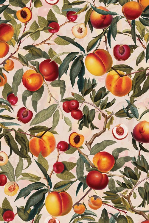 Vintage Fruit Pattern XXIII