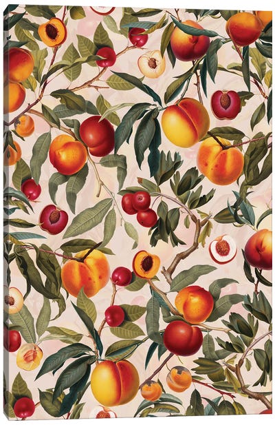 Vintage Fruit Pattern XXIII Canvas Art Print - Burcu Korkmazyurek