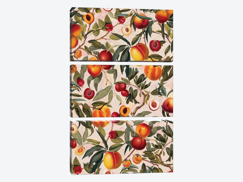 Vintage Fruit Pattern XXIII by Burcu Korkmazyurek 3-piece Art Print