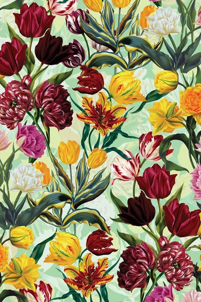 Tulips: Summer Dreams - Tulips by Burcu Korkmazyurek