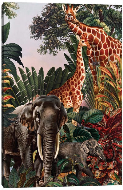 Beautiful Forest VII Canvas Art Print - Jungles