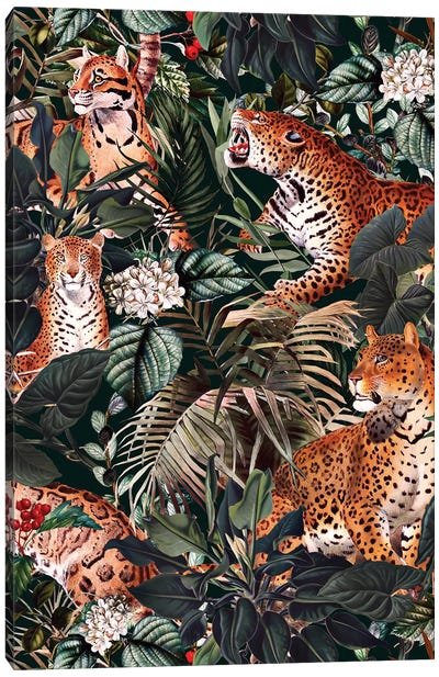 Dangers In The Forest XIII Canvas Art Print - Jungles