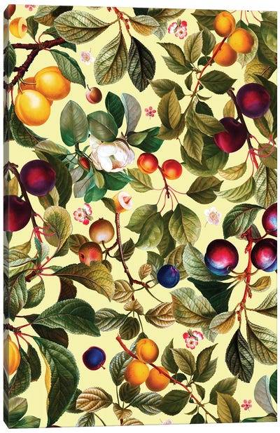 Vintage Fruit Pattern XXI Canvas Art Print - Burcu Korkmazyurek