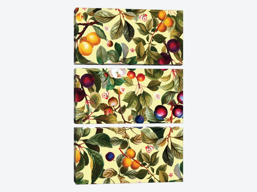Vintage Fruit Pattern XXI by Burcu Korkmazyurek 3-piece Canvas Print